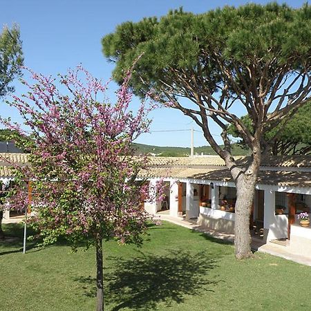 Hostal Las Acacias Los Canos De Meca Zewnętrze zdjęcie