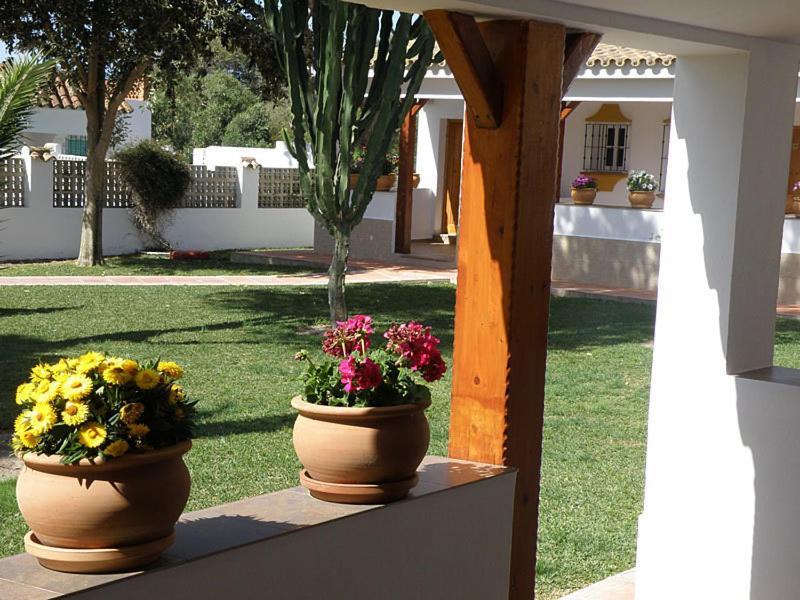 Hostal Las Acacias Los Canos De Meca Zewnętrze zdjęcie