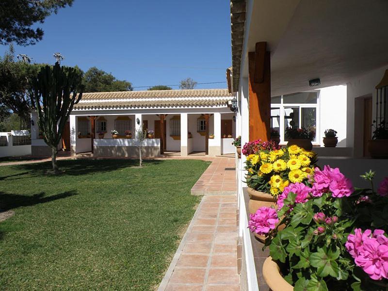 Hostal Las Acacias Los Canos De Meca Zewnętrze zdjęcie