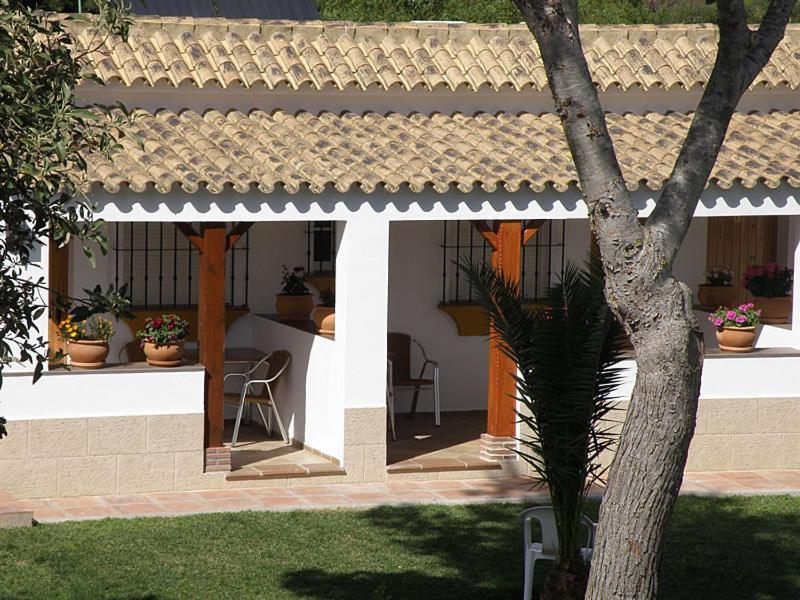 Hostal Las Acacias Los Canos De Meca Zewnętrze zdjęcie